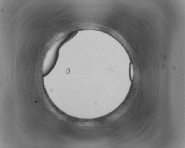 X0000082680433200702232142