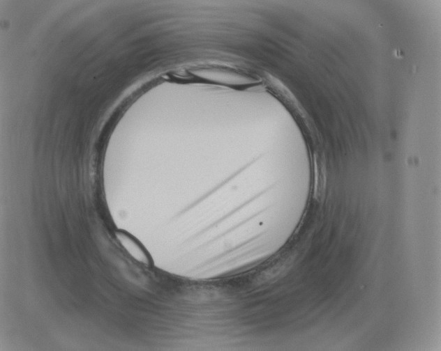 X0000082680435200702232142