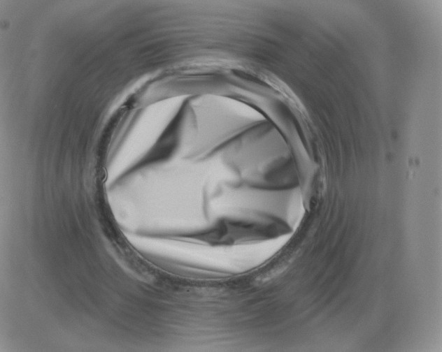 X0000082680436200702232142