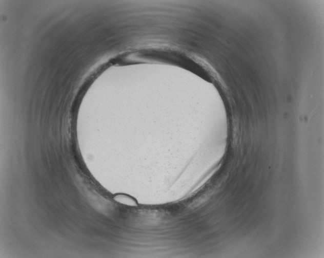 X0000082680439200702232142