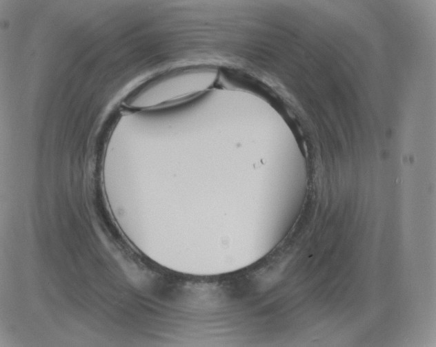 X0000082680440200702232142