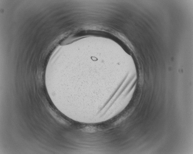 X0000082680441200702232142