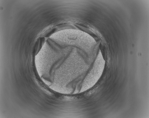 X0000082680442200702232142