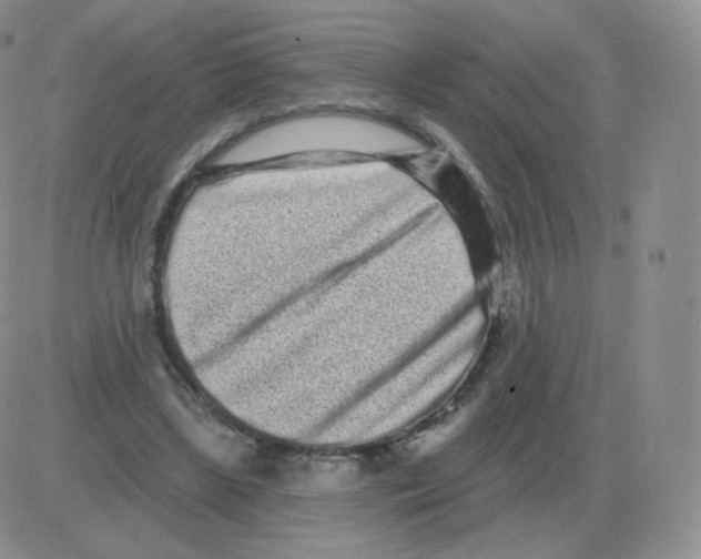 X0000082680443200702232142