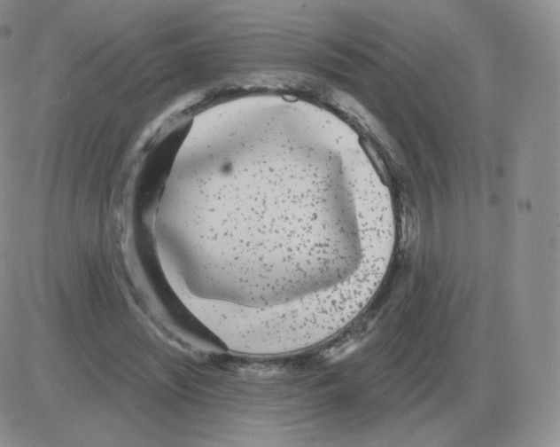 X0000082680444200702232142