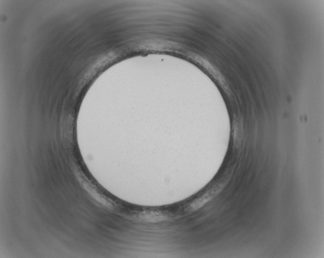 X0000082680445200702232142