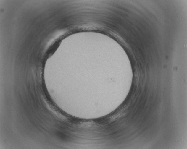 X0000082680446200702232142