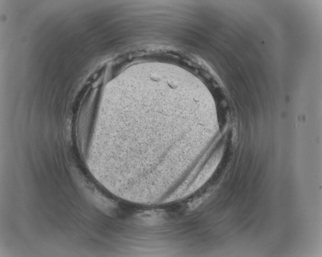 X0000082680447200702232142