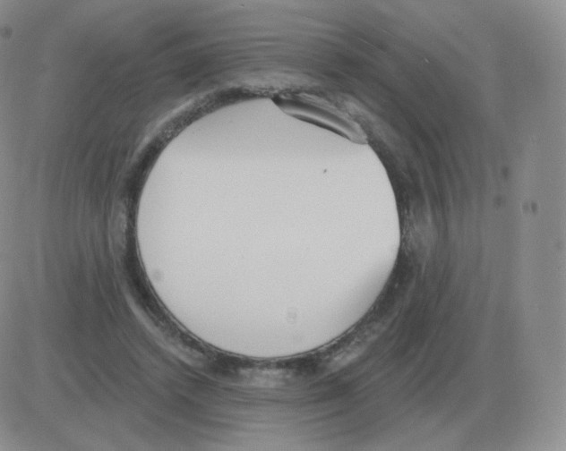 X0000082680448200702232142