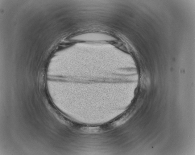 X0000082680449200702232142