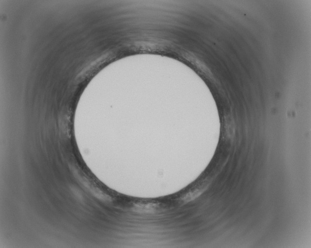 X0000082680450200702232142