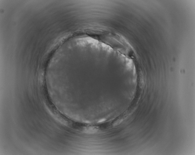 X0000082680451200702232142