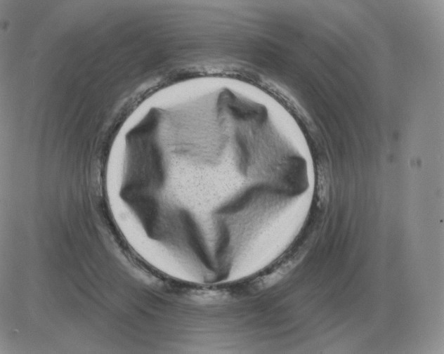 X0000082680453200702232142