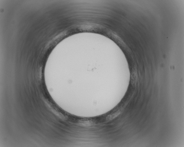 X0000082680454200702232142