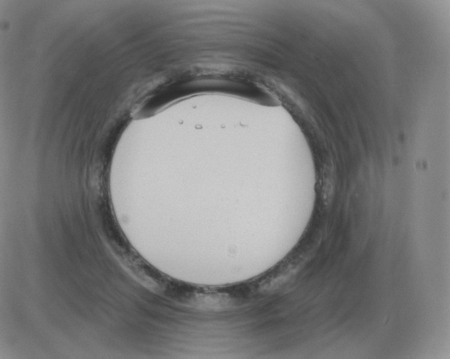 X0000082680455200702232142