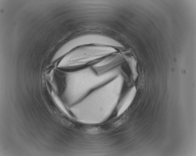 X0000082680456200702232142