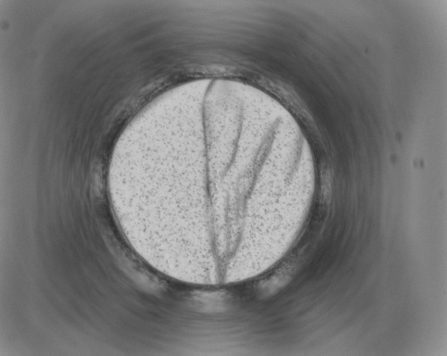 X0000082680457200702232142