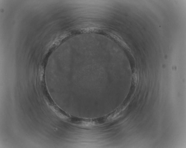 X0000082680458200702232142