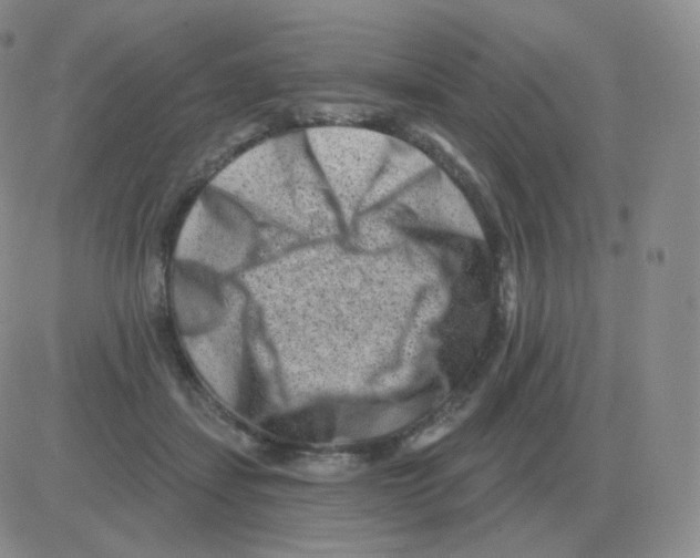 X0000082680459200702232142