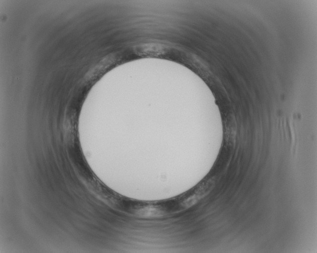 X0000082680460200702232142