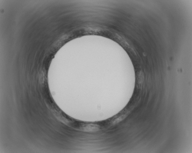 X0000082680463200702232142