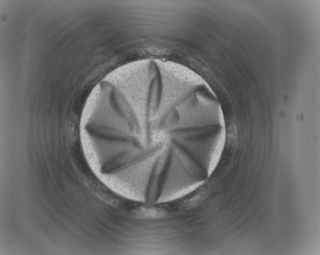 X0000082680464200702232142