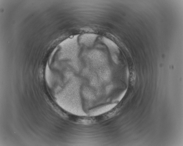 X0000082680466200702232142