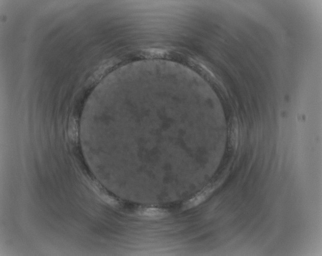 X0000082680467200702232142