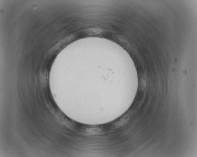 X0000082680468200702232142