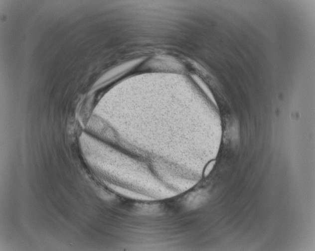 X0000082680469200702232142