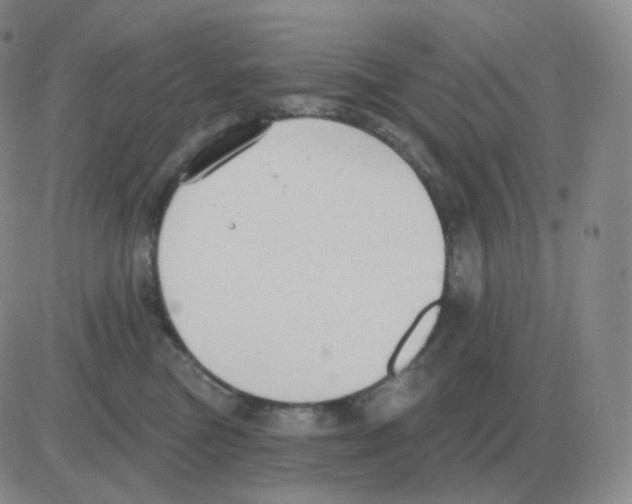 X0000082680473200702232142