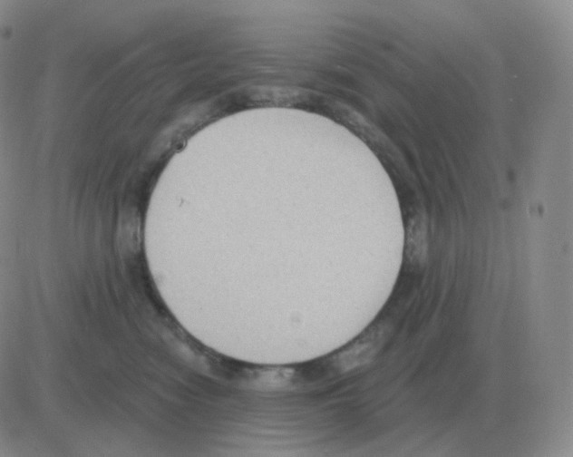 X0000082680474200702232143