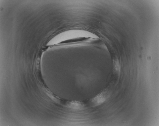 X0000082680475200702232143