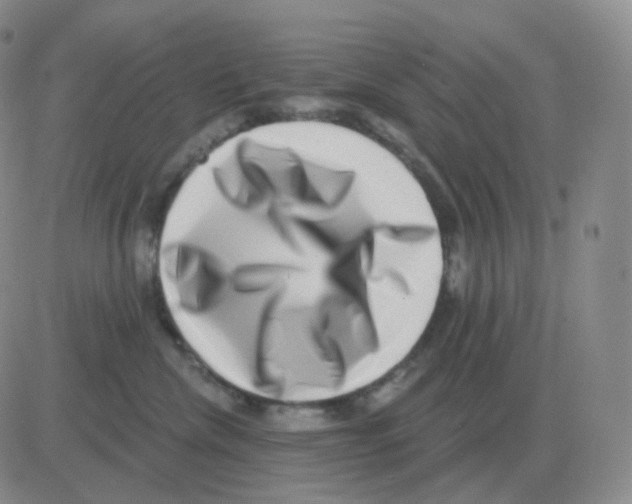 X0000082680476200702232143