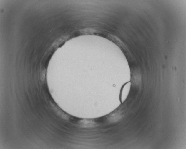 X0000082680477200702232143