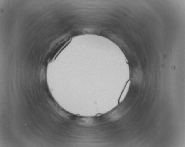 X0000082680478200702232143