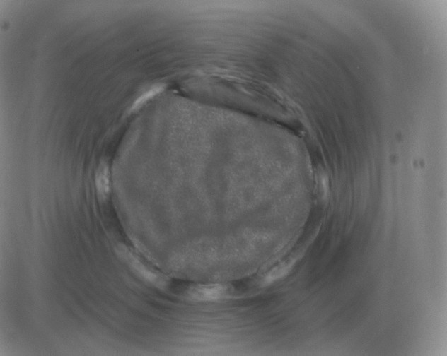 X0000082680479200702232143