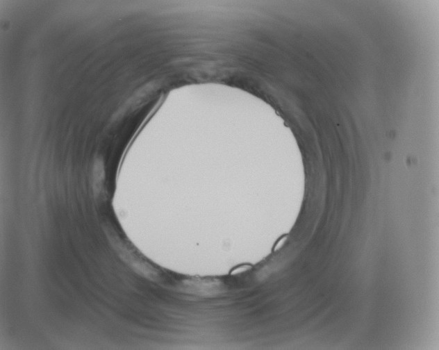 X0000082680480200702232143