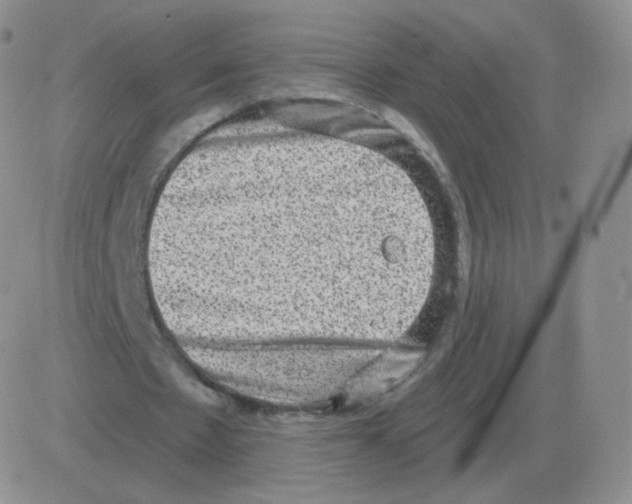 X0000082680481200702232142