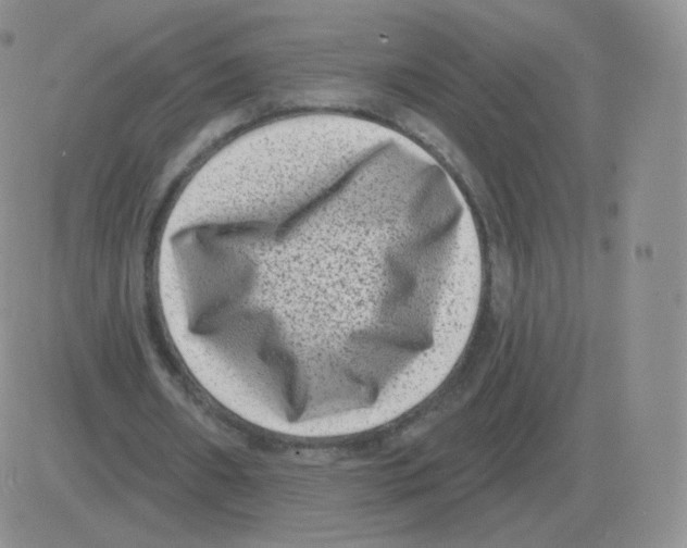 X0000082680482200702232142