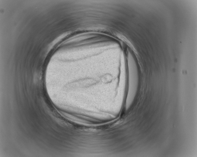 X0000082680483200702232142