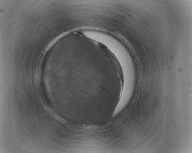 X0000082680484200702232142