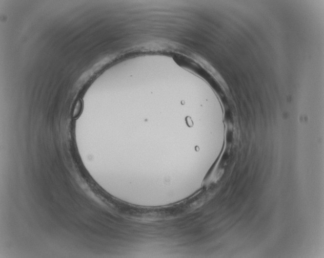 X0000082680485200702232142