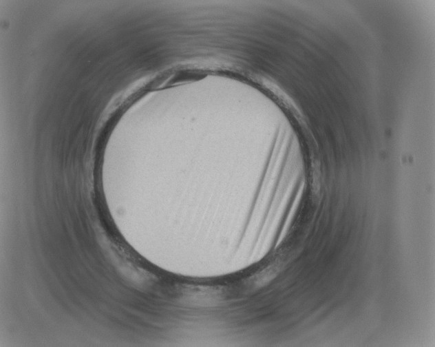 X0000082680486200702232142