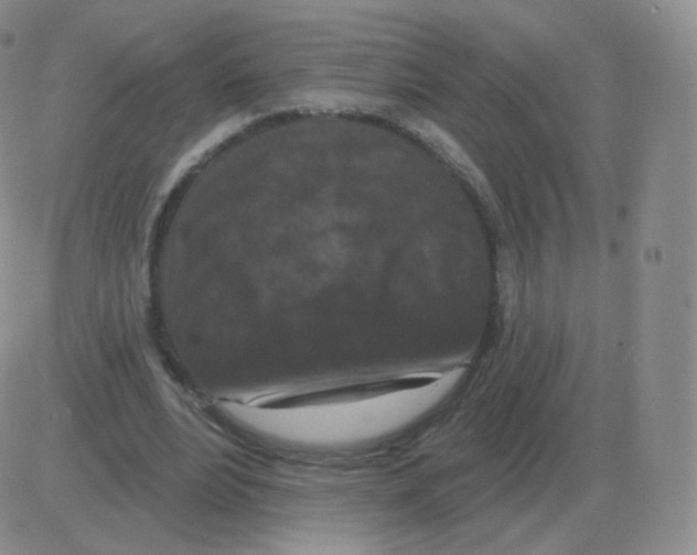 X0000082680488200702232142