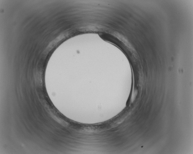 X0000082680489200702232142