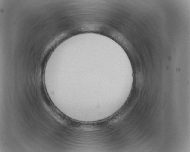 X0000082680490200702232142