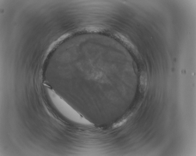 X0000082680492200702232142