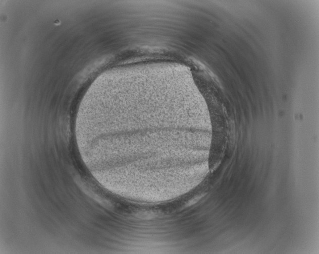 X0000082680494200702232142