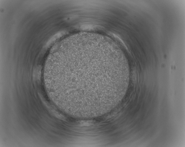 X0000082680495200702232142